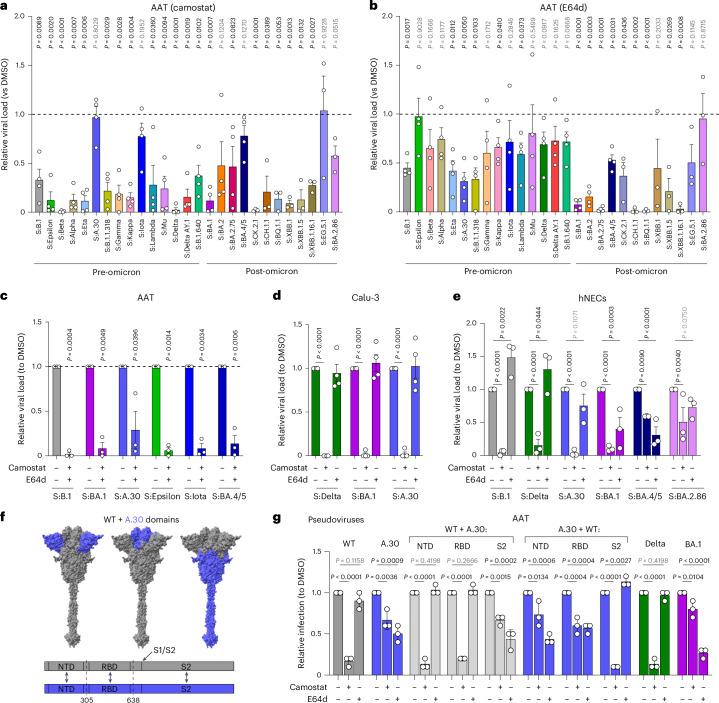 https://cdn.ncbi.nlm.nih.gov/pmc/blobs/b5ee/11726466/f60ab9ec20b2/41564_2024_1878_Fig3_HTML.jpg