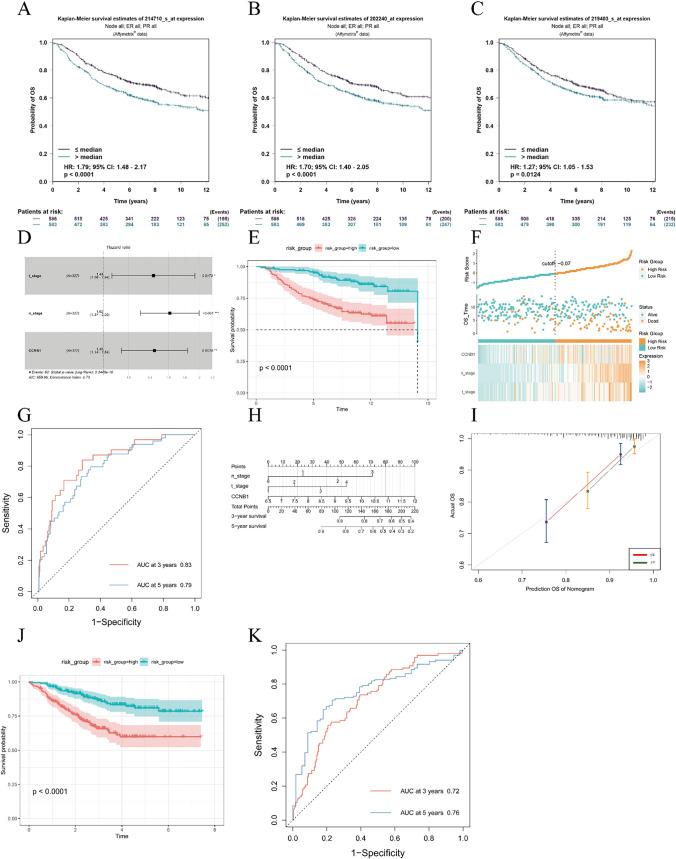 https://cdn.ncbi.nlm.nih.gov/pmc/blobs/b5ee/11972280/4a54273a5b16/12672_2025_2282_Fig5_HTML.jpg