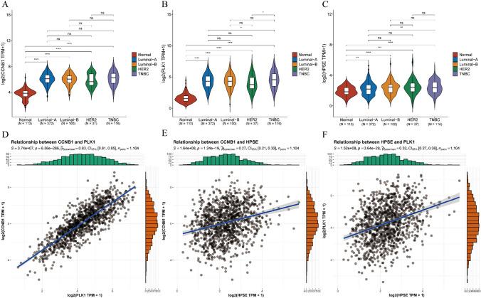 https://cdn.ncbi.nlm.nih.gov/pmc/blobs/b5ee/11972280/4c7ccf4f6ad8/12672_2025_2282_Fig1_HTML.jpg