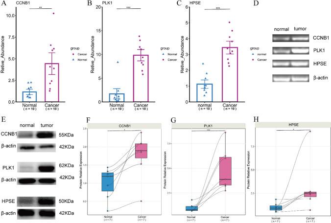 https://cdn.ncbi.nlm.nih.gov/pmc/blobs/b5ee/11972280/8545b6658d13/12672_2025_2282_Fig12_HTML.jpg