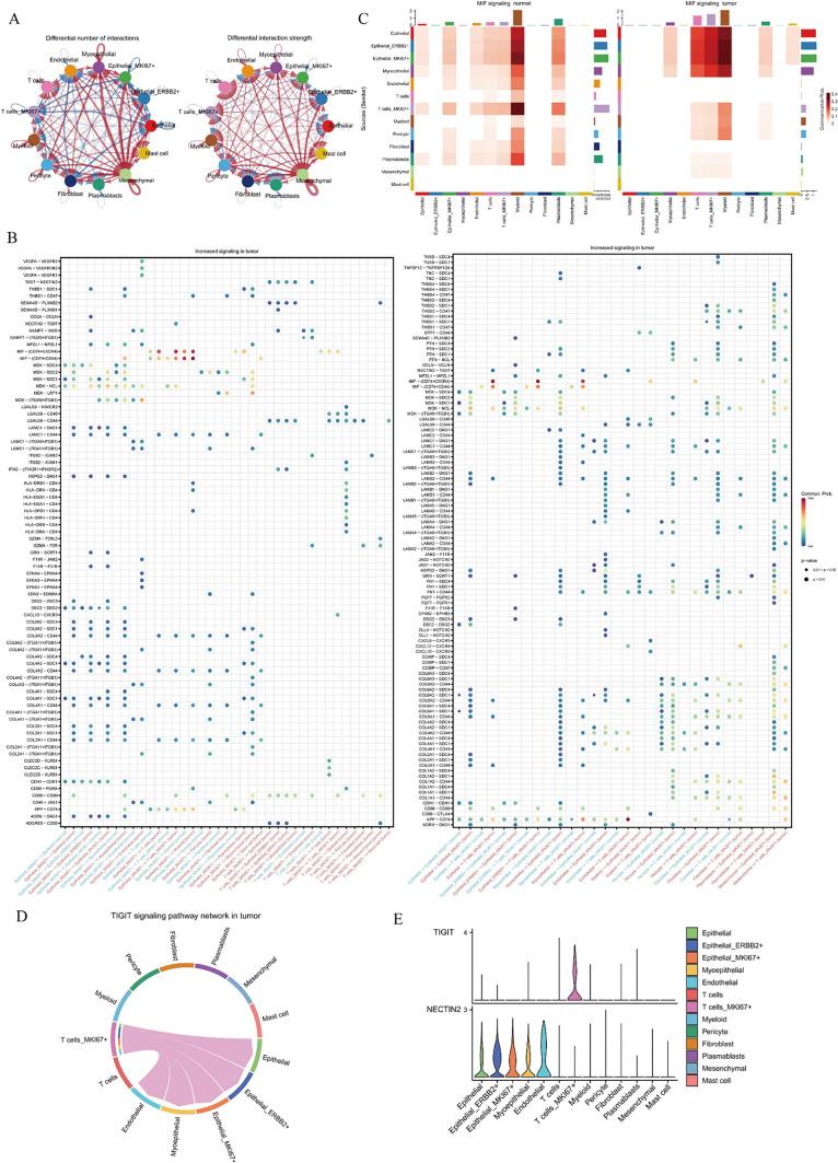 https://cdn.ncbi.nlm.nih.gov/pmc/blobs/b5ee/11972280/8955928543b4/12672_2025_2282_Fig11_HTML.jpg