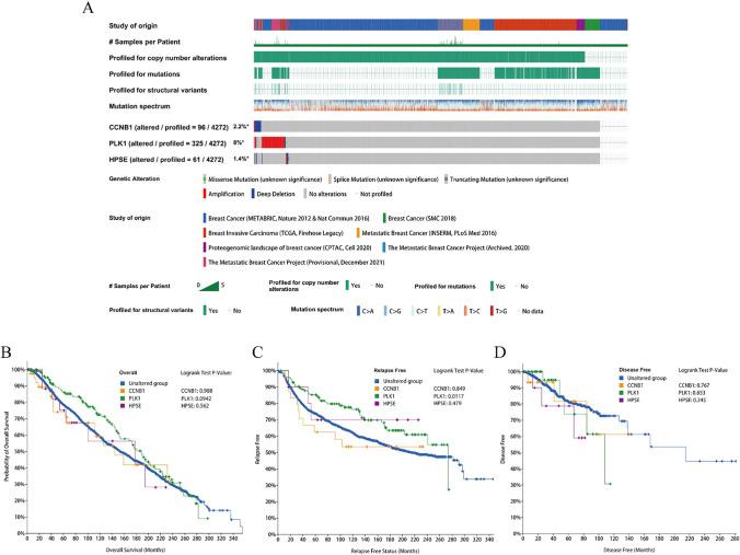 https://cdn.ncbi.nlm.nih.gov/pmc/blobs/b5ee/11972280/a28edeb7382c/12672_2025_2282_Fig4_HTML.jpg