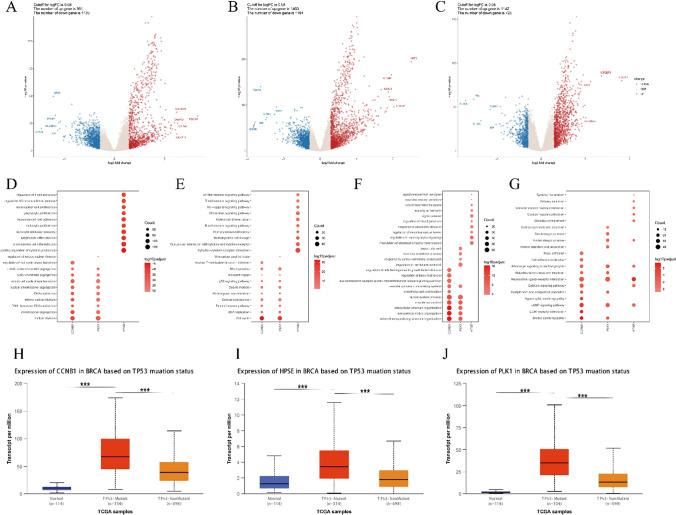 https://cdn.ncbi.nlm.nih.gov/pmc/blobs/b5ee/11972280/fa40829285ee/12672_2025_2282_Fig2_HTML.jpg