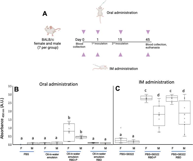 https://cdn.ncbi.nlm.nih.gov/pmc/blobs/b5f0/10848483/c627eaafd28f/12934_2024_2320_Fig8_HTML.jpg