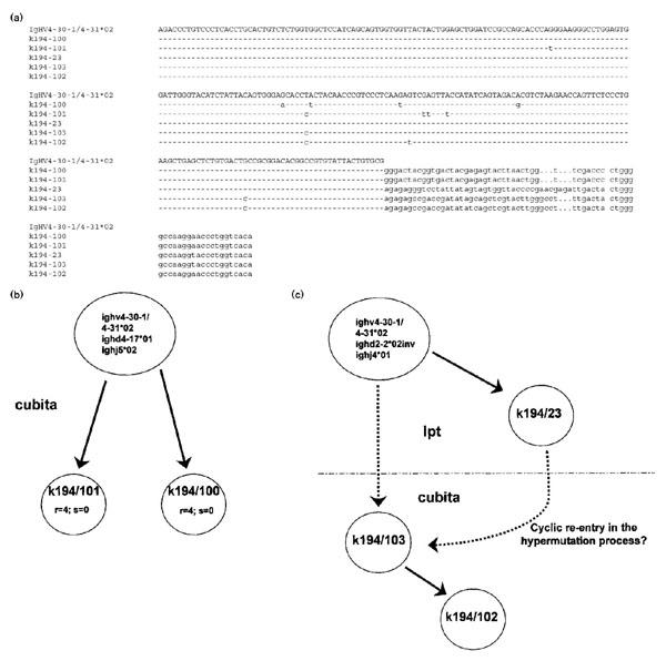 https://cdn.ncbi.nlm.nih.gov/pmc/blobs/b5f0/17813/2ce2fb775004/ar-2-4-303-2.jpg