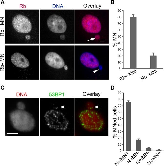 https://cdn.ncbi.nlm.nih.gov/pmc/blobs/b5f0/6505630/90bff3bf06b1/oncotarget-10-2660-g002.jpg