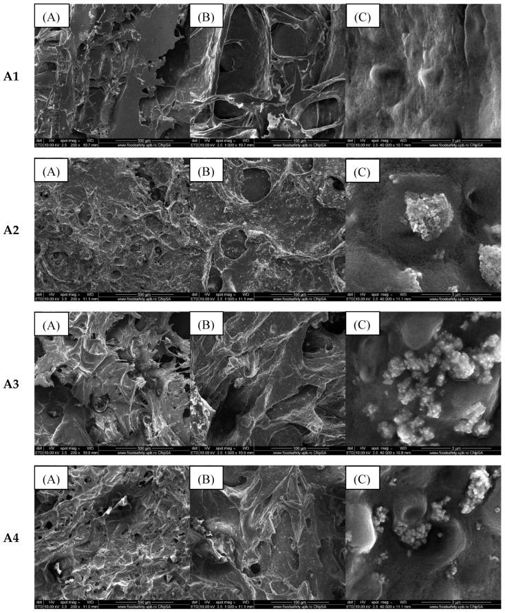 https://cdn.ncbi.nlm.nih.gov/pmc/blobs/b5f1/12191582/95d607c74868/gels-11-00459-g003.jpg