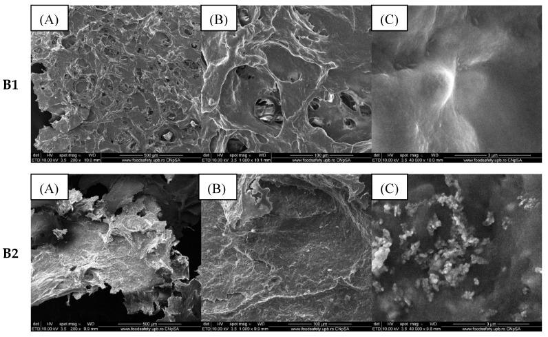 https://cdn.ncbi.nlm.nih.gov/pmc/blobs/b5f1/12191582/a446deb61550/gels-11-00459-g005a.jpg
