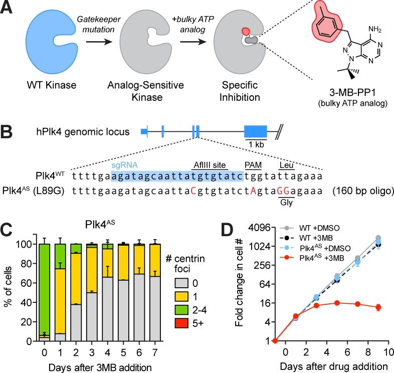 https://cdn.ncbi.nlm.nih.gov/pmc/blobs/b5f4/4949452/03bdc65a203c/JCB_201604054_Fig1.jpg