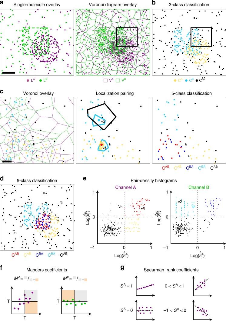 https://cdn.ncbi.nlm.nih.gov/pmc/blobs/b5f5/6542817/5451c5768a5f/41467_2019_10007_Fig1_HTML.jpg