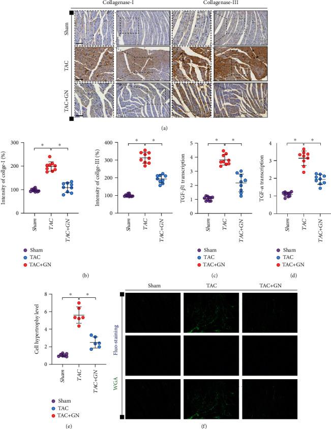 https://cdn.ncbi.nlm.nih.gov/pmc/blobs/b5f5/8989614/1c8c2dce43c5/OMCL2022-9205908.002.jpg