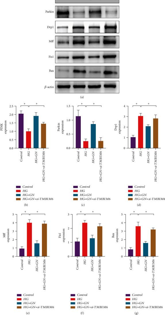 https://cdn.ncbi.nlm.nih.gov/pmc/blobs/b5f5/8989614/5111eb212158/OMCL2022-9205908.009.jpg