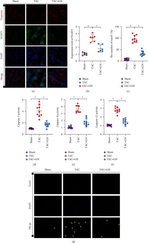 https://cdn.ncbi.nlm.nih.gov/pmc/blobs/b5f5/8989614/6af9f5339191/OMCL2022-9205908.003.jpg
