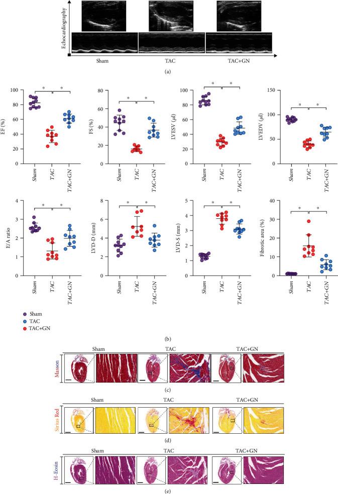 https://cdn.ncbi.nlm.nih.gov/pmc/blobs/b5f5/8989614/70b75af72d42/OMCL2022-9205908.001.jpg