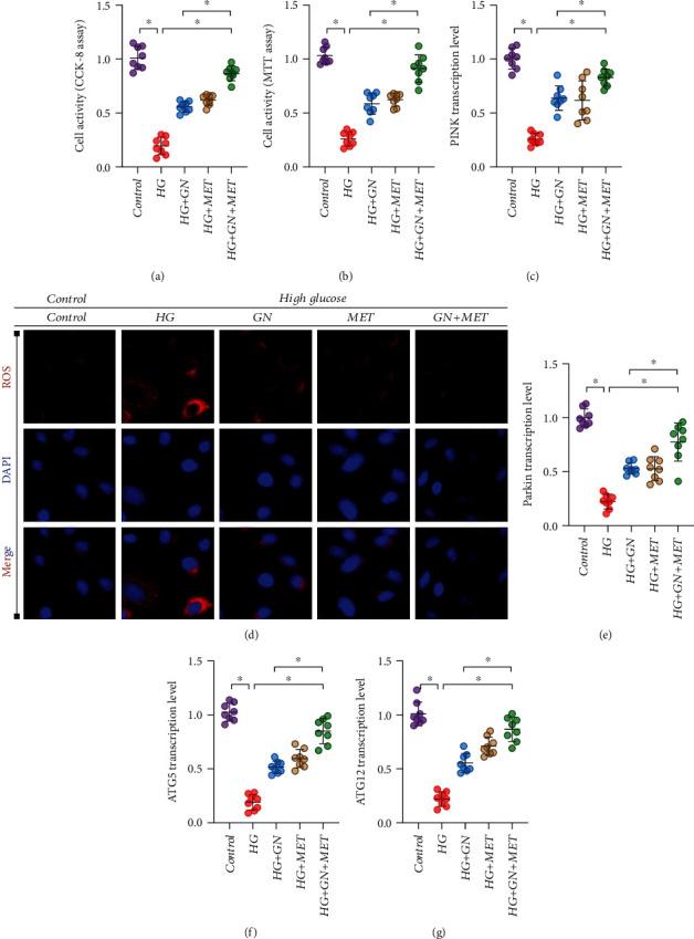 https://cdn.ncbi.nlm.nih.gov/pmc/blobs/b5f5/8989614/9ccc8581a9a1/OMCL2022-9205908.011.jpg