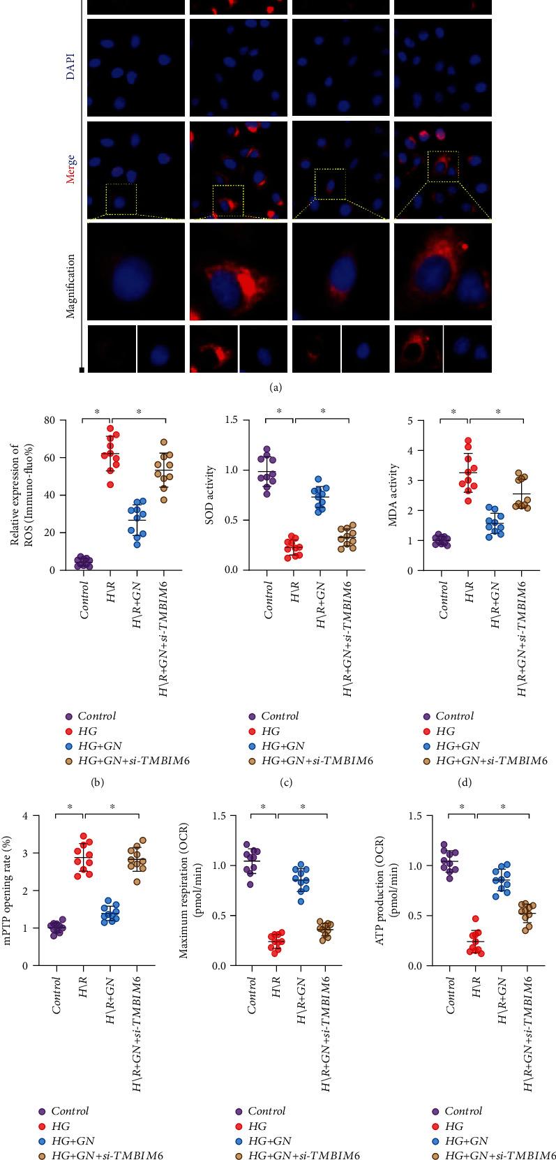 https://cdn.ncbi.nlm.nih.gov/pmc/blobs/b5f5/8989614/b935c5a03c89/OMCL2022-9205908.008.jpg