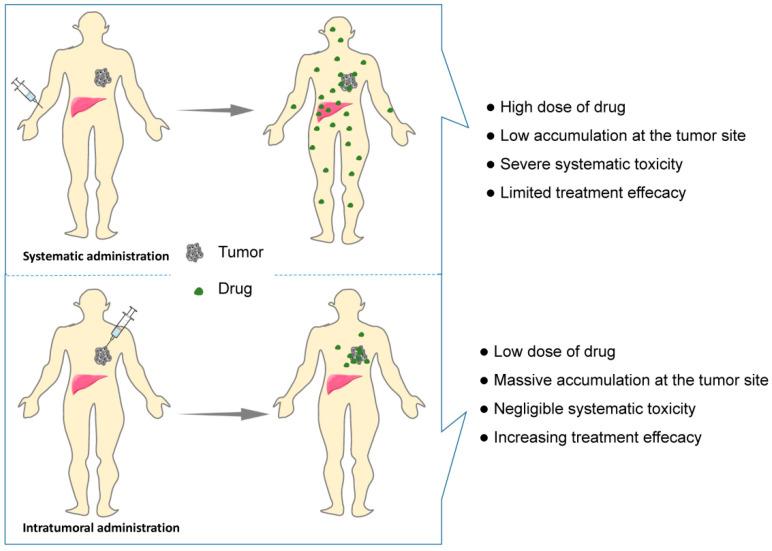 https://cdn.ncbi.nlm.nih.gov/pmc/blobs/b5f5/9611441/b705a5ee053e/pharmaceutics-14-02028-g002.jpg