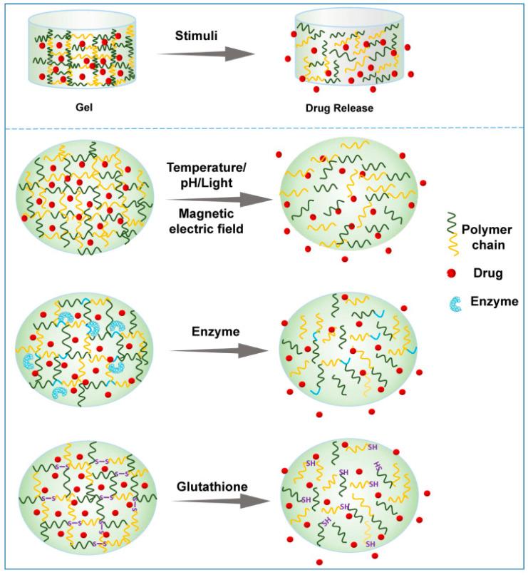 https://cdn.ncbi.nlm.nih.gov/pmc/blobs/b5f5/9611441/e5251b3e5177/pharmaceutics-14-02028-g004.jpg