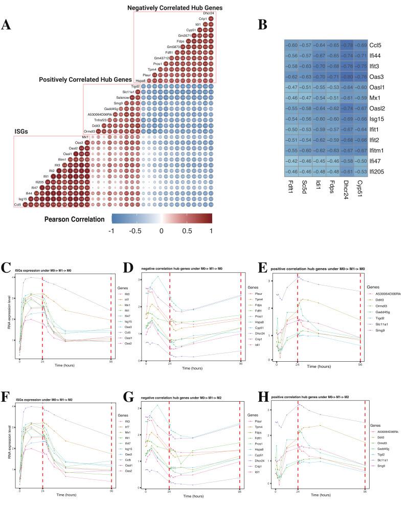 https://cdn.ncbi.nlm.nih.gov/pmc/blobs/b5f6/11719740/122ce40412b6/ijms-26-00111-g007.jpg