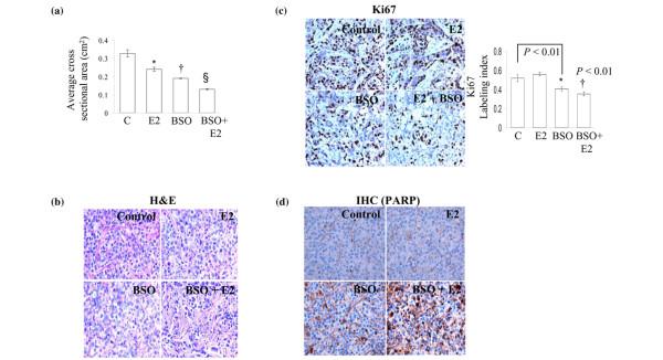 https://cdn.ncbi.nlm.nih.gov/pmc/blobs/b5f6/2656901/da63e04c8ade/bcr2208-6.jpg