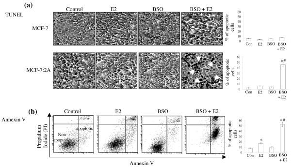 https://cdn.ncbi.nlm.nih.gov/pmc/blobs/b5f6/2656901/db144e62d9ef/bcr2208-3.jpg