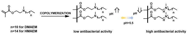 https://cdn.ncbi.nlm.nih.gov/pmc/blobs/b5f7/10820831/682f437e3626/materials-17-00345-g009.jpg
