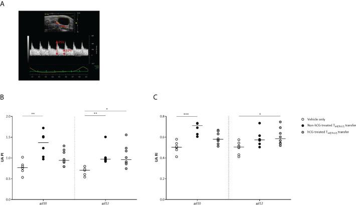https://cdn.ncbi.nlm.nih.gov/pmc/blobs/b5f7/9531259/113df2316d58/fimmu-13-989247-g008.jpg