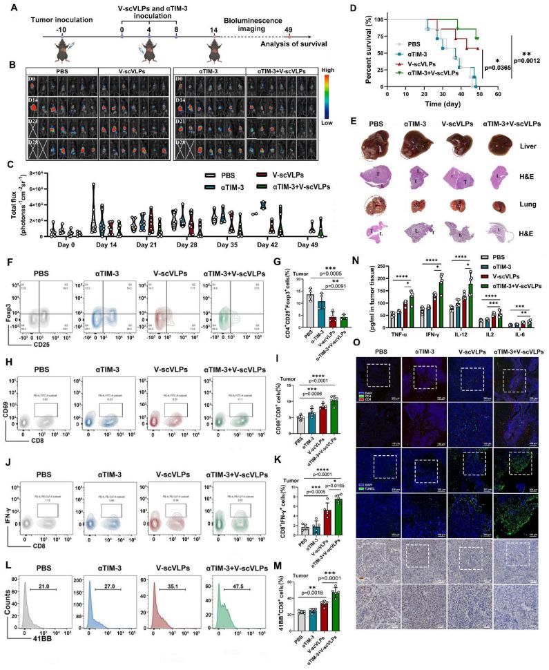 https://cdn.ncbi.nlm.nih.gov/pmc/blobs/b5f9/10405843/2f0e684159df/thnov13p4166g005.jpg