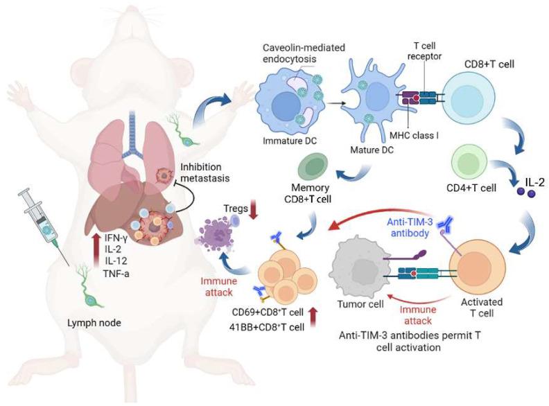 https://cdn.ncbi.nlm.nih.gov/pmc/blobs/b5f9/10405843/41227383bf27/thnov13p4166g001.jpg