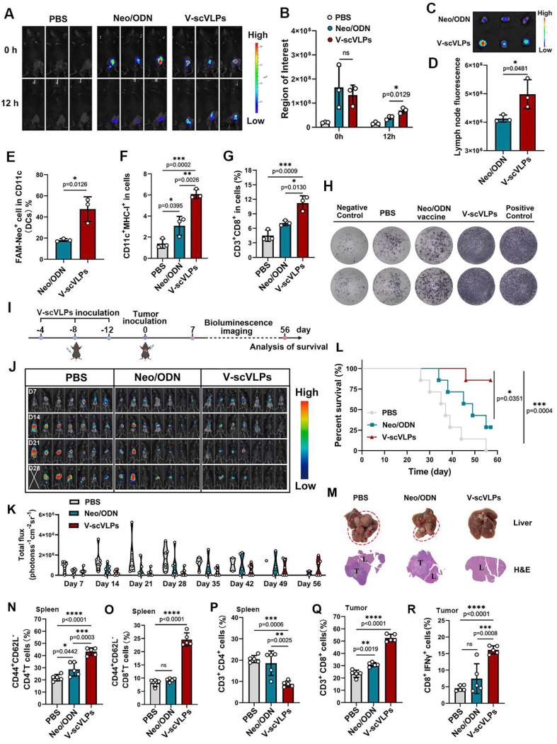 https://cdn.ncbi.nlm.nih.gov/pmc/blobs/b5f9/10405843/5c68d8080bc0/thnov13p4166g004.jpg