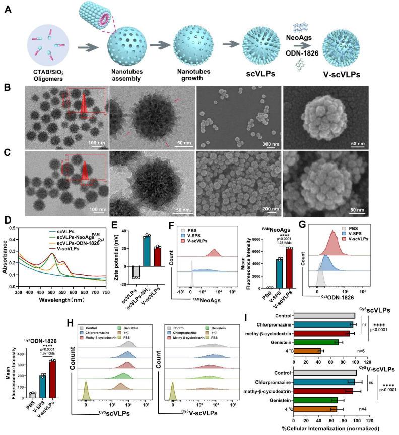 https://cdn.ncbi.nlm.nih.gov/pmc/blobs/b5f9/10405843/8a5d0d8e4ddd/thnov13p4166g002.jpg