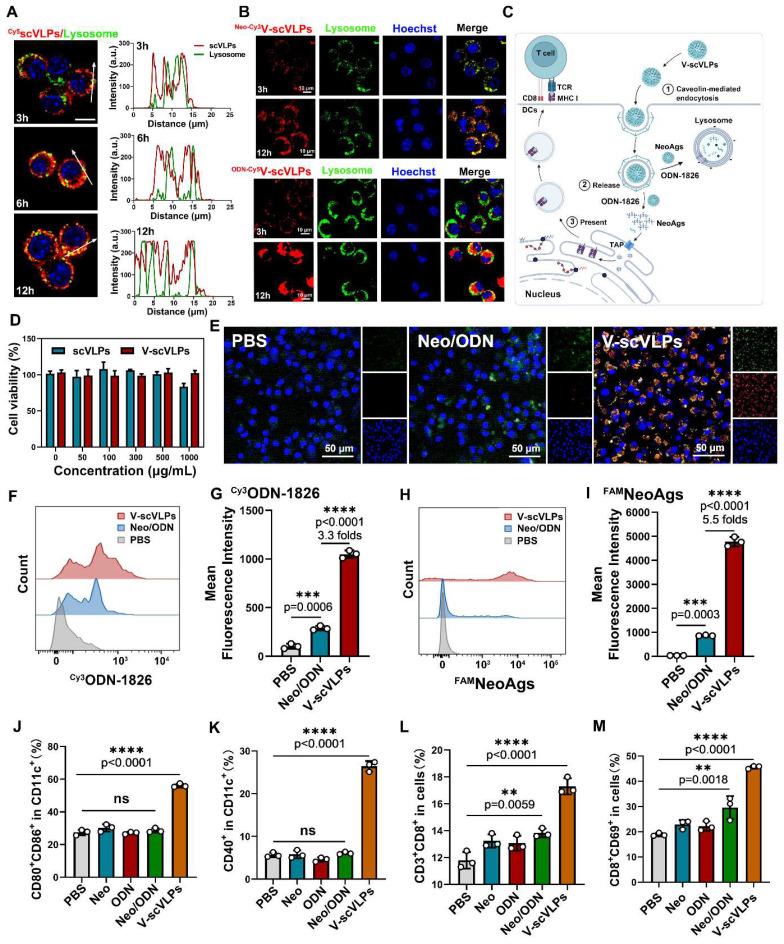 https://cdn.ncbi.nlm.nih.gov/pmc/blobs/b5f9/10405843/f9f6a1da4bda/thnov13p4166g003.jpg