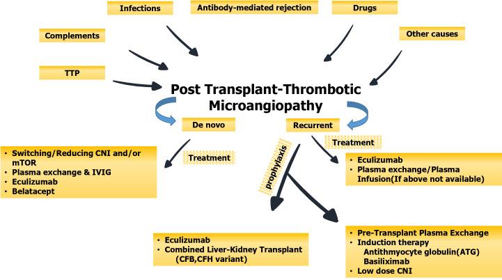 https://cdn.ncbi.nlm.nih.gov/pmc/blobs/b5f9/10989473/ca7e0f9baf6c/90277-g005.jpg