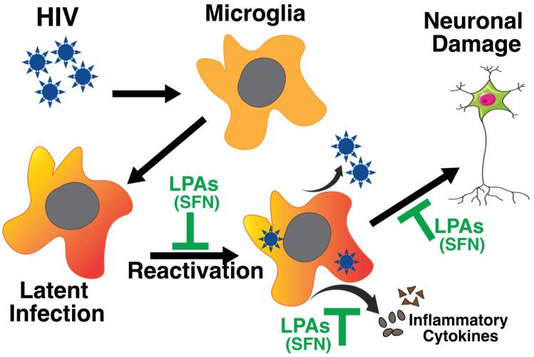 https://cdn.ncbi.nlm.nih.gov/pmc/blobs/b5f9/11083163/315ccac2b785/ijms-25-04697-g001.jpg