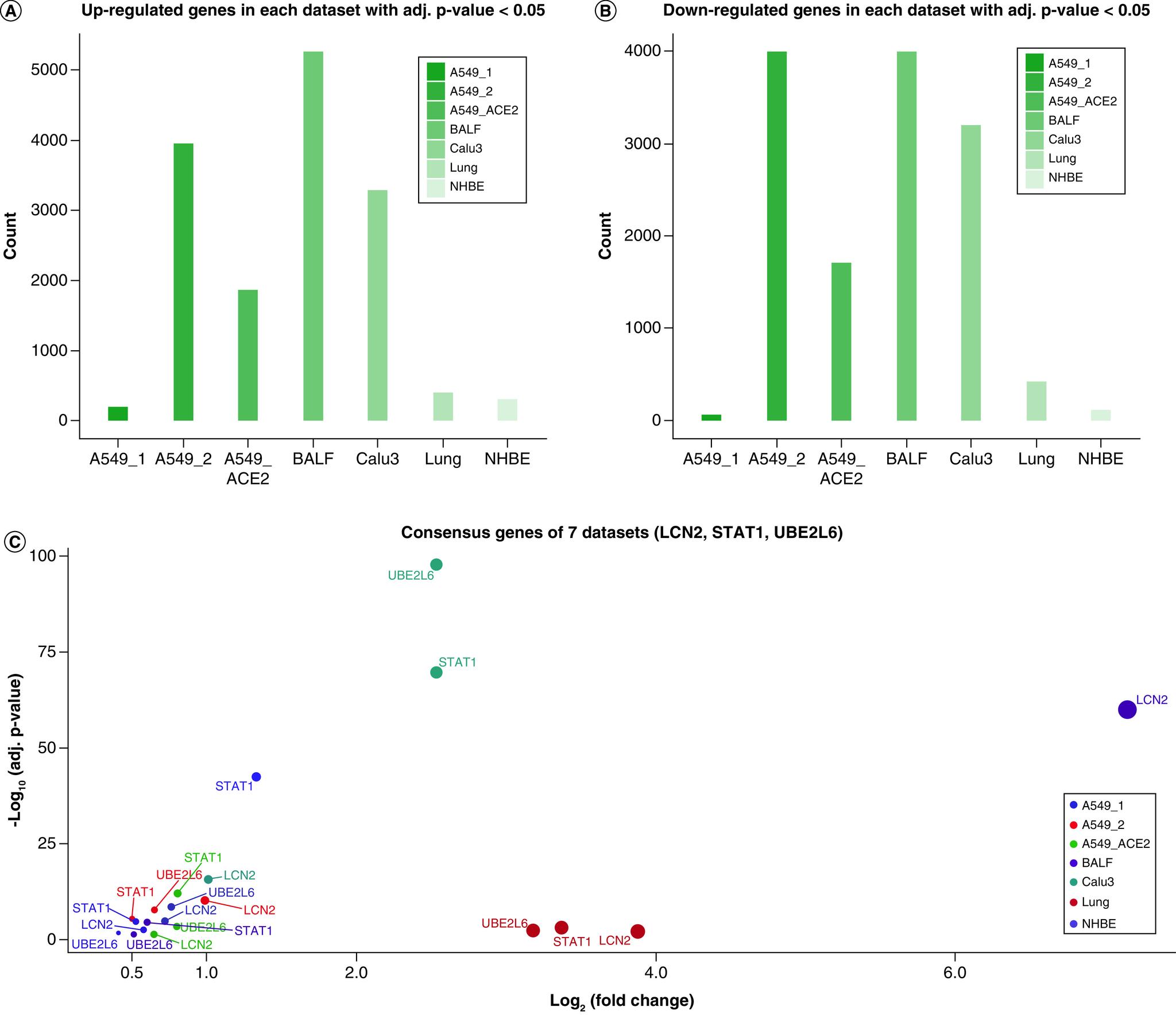 https://cdn.ncbi.nlm.nih.gov/pmc/blobs/b5f9/7714049/b216fb756ddd/figure4.jpg