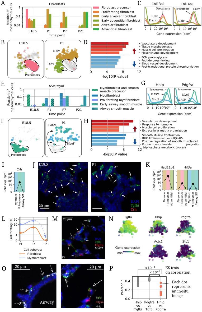 https://cdn.ncbi.nlm.nih.gov/pmc/blobs/b5fa/10805790/148d091ba2a5/41598_2023_50717_Fig3_HTML.jpg