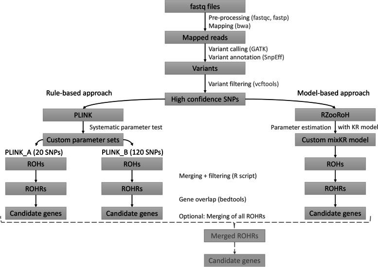 https://cdn.ncbi.nlm.nih.gov/pmc/blobs/b5fa/9357325/581556052b17/12864_2022_8801_Fig1_HTML.jpg