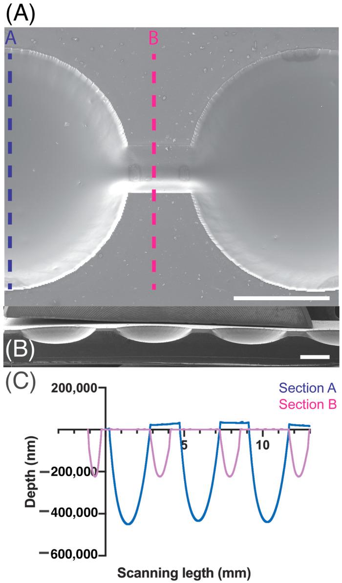 https://cdn.ncbi.nlm.nih.gov/pmc/blobs/b5fc/12110087/97e6ff59a101/biosensors-15-00270-g002.jpg