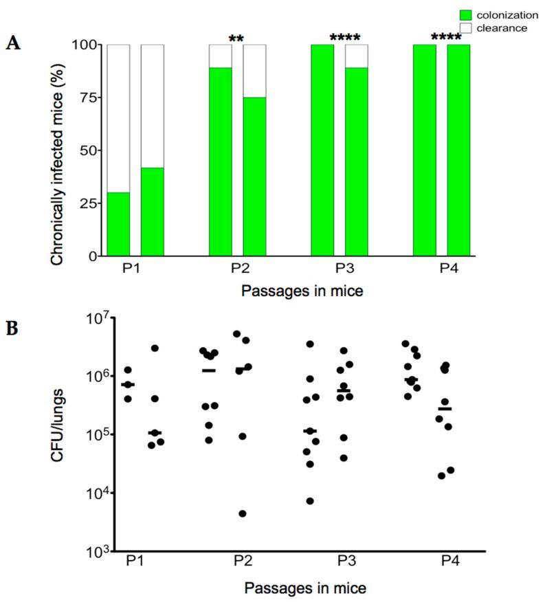 https://cdn.ncbi.nlm.nih.gov/pmc/blobs/b5fd/5713385/ac04ee7d71dc/ijms-18-02417-g002.jpg