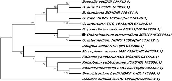 https://cdn.ncbi.nlm.nih.gov/pmc/blobs/b603/5604193/411fe8417960/12944_2017_565_Fig1_HTML.jpg