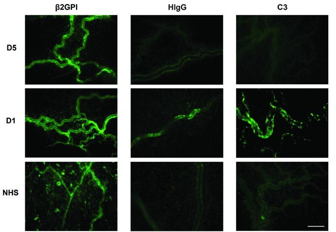 https://cdn.ncbi.nlm.nih.gov/pmc/blobs/b604/6442945/e96935d8d372/104819.fig3.jpg