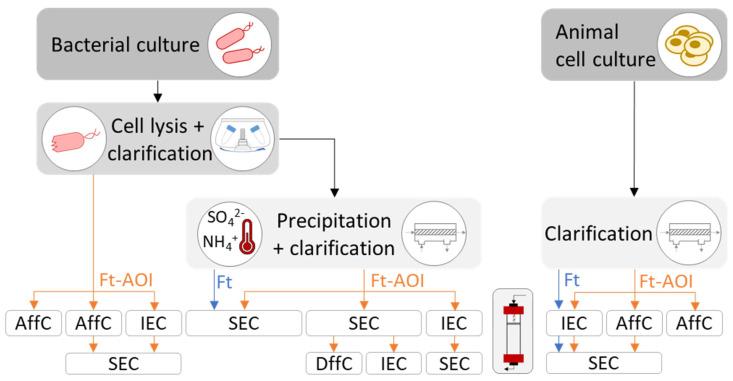 https://cdn.ncbi.nlm.nih.gov/pmc/blobs/b604/8540537/3a21794b3a14/pharmaceutics-13-01621-g004.jpg