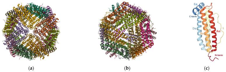 https://cdn.ncbi.nlm.nih.gov/pmc/blobs/b604/8540537/d1ae34e3bf85/pharmaceutics-13-01621-g002.jpg
