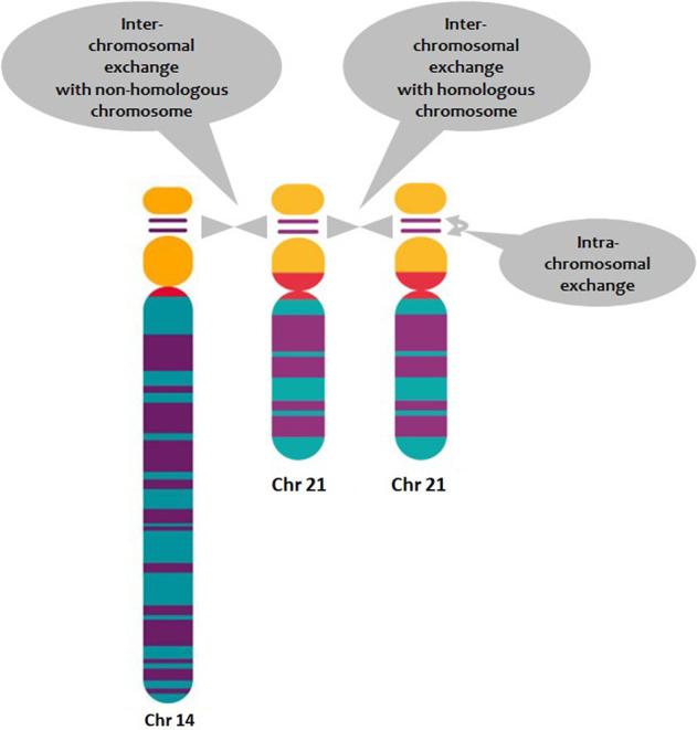 https://cdn.ncbi.nlm.nih.gov/pmc/blobs/b604/8997349/55275288705a/599f06.jpg