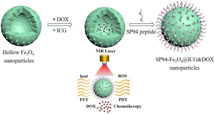 https://cdn.ncbi.nlm.nih.gov/pmc/blobs/b605/10785830/1ef591ecd92e/IJN-19-189-g0002.jpg