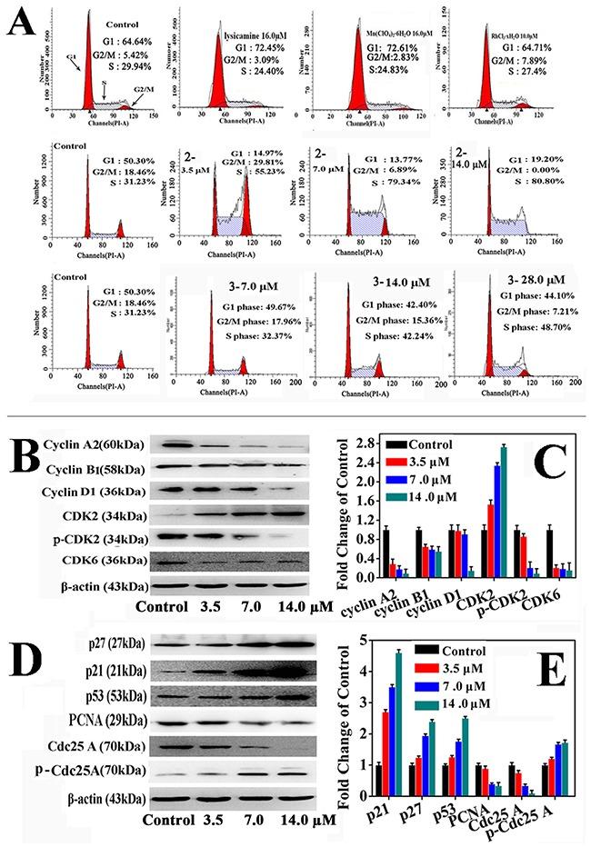 https://cdn.ncbi.nlm.nih.gov/pmc/blobs/b605/5601738/2d34c996b7e7/oncotarget-08-59359-g003.jpg