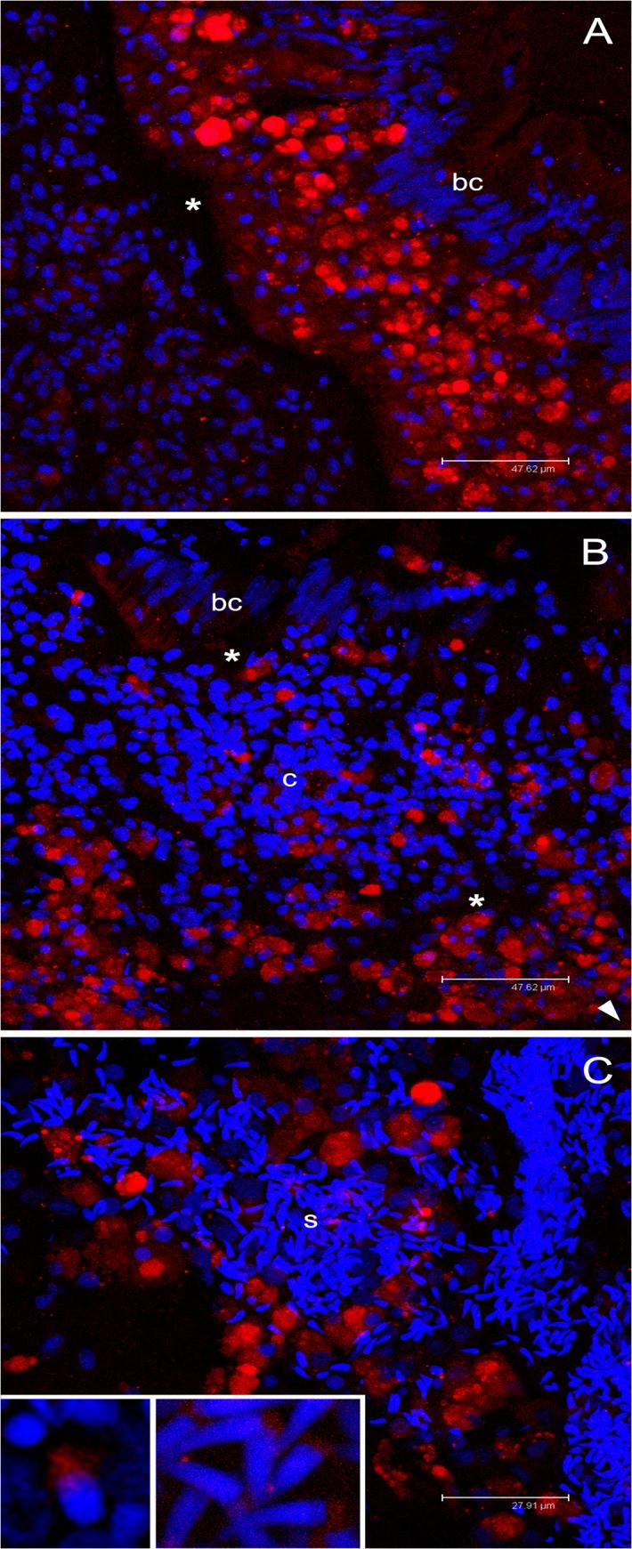 https://cdn.ncbi.nlm.nih.gov/pmc/blobs/b606/4560408/a0eb5f98fdfe/pone.0137468.g008.jpg