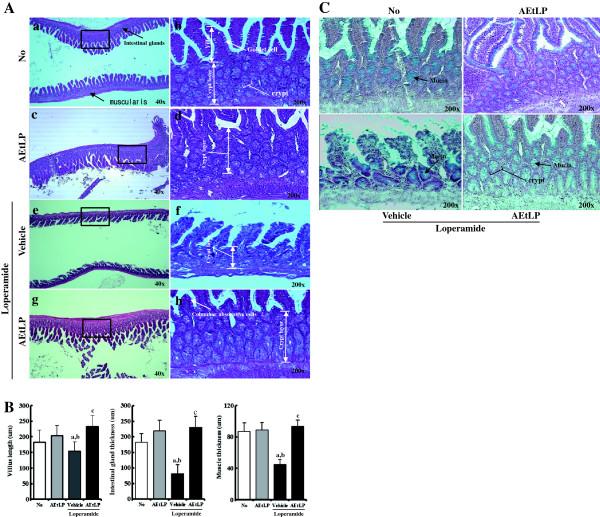https://cdn.ncbi.nlm.nih.gov/pmc/blobs/b608/4222752/c11151d4293b/1472-6882-13-333-3.jpg
