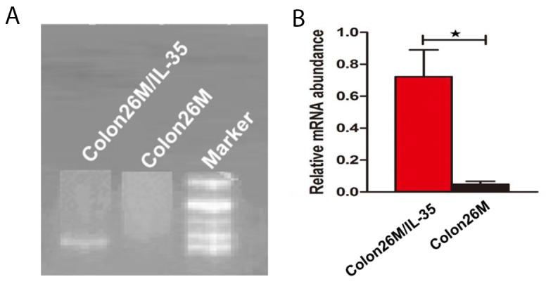 https://cdn.ncbi.nlm.nih.gov/pmc/blobs/b608/5844723/9baf6881005e/oncotarget-09-11989-g004.jpg