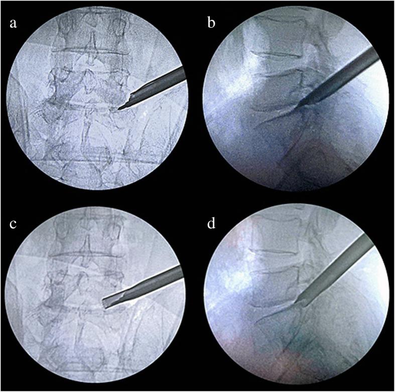 https://cdn.ncbi.nlm.nih.gov/pmc/blobs/b608/8218444/24494b37cda7/13018_2021_2533_Fig3_HTML.jpg